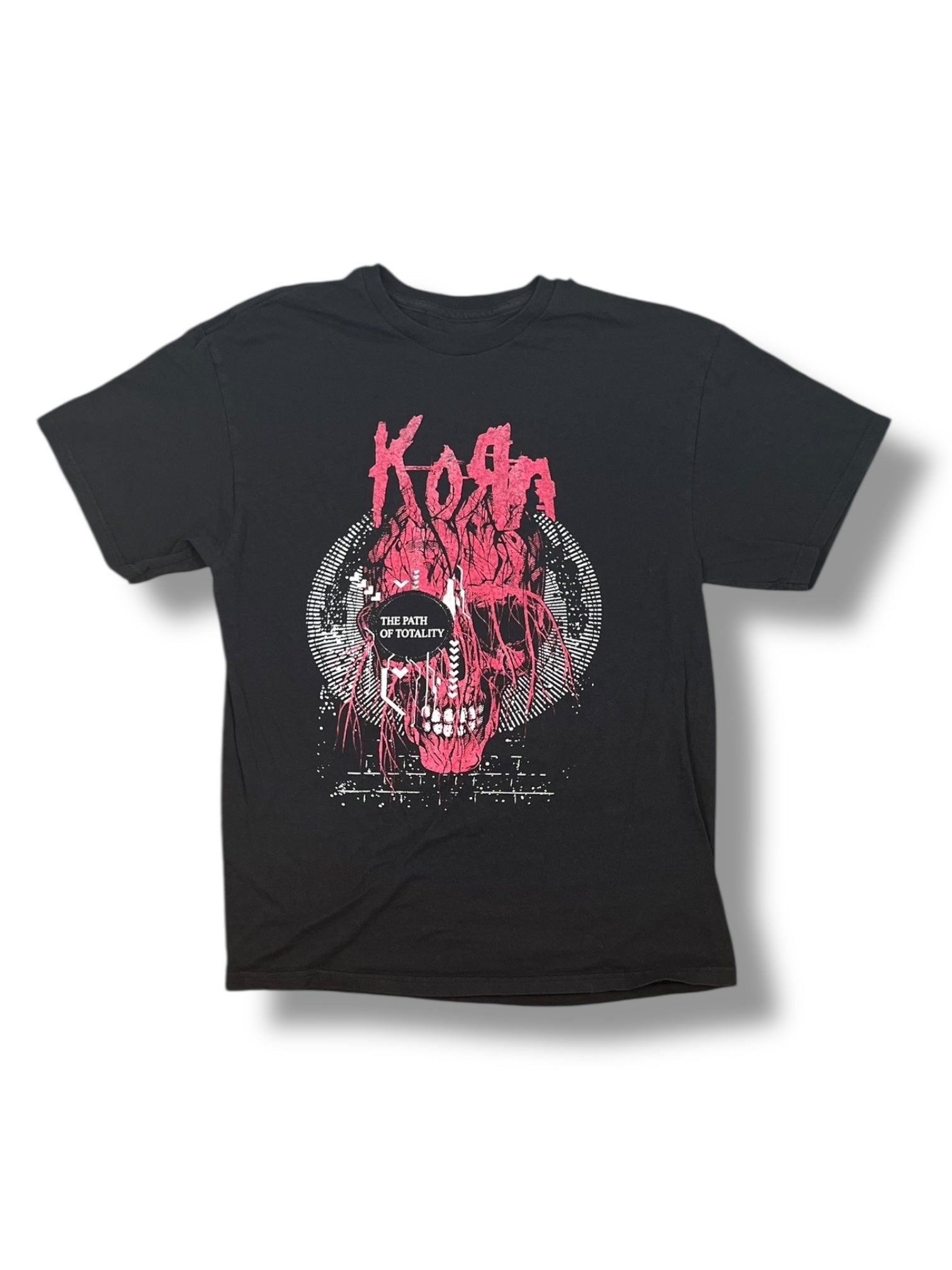 2013 Korn 